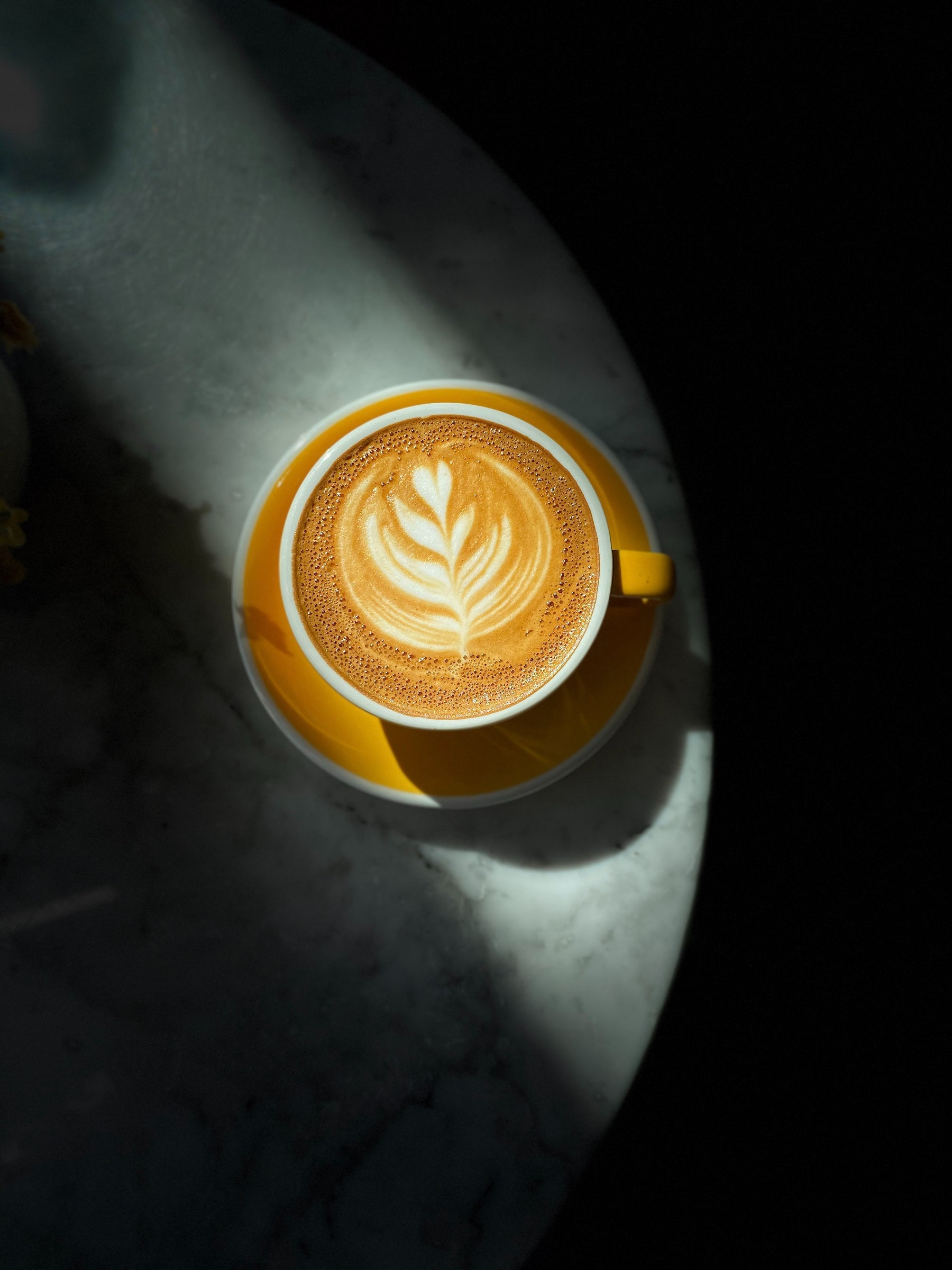 latte art 101, beginners guide to latte art